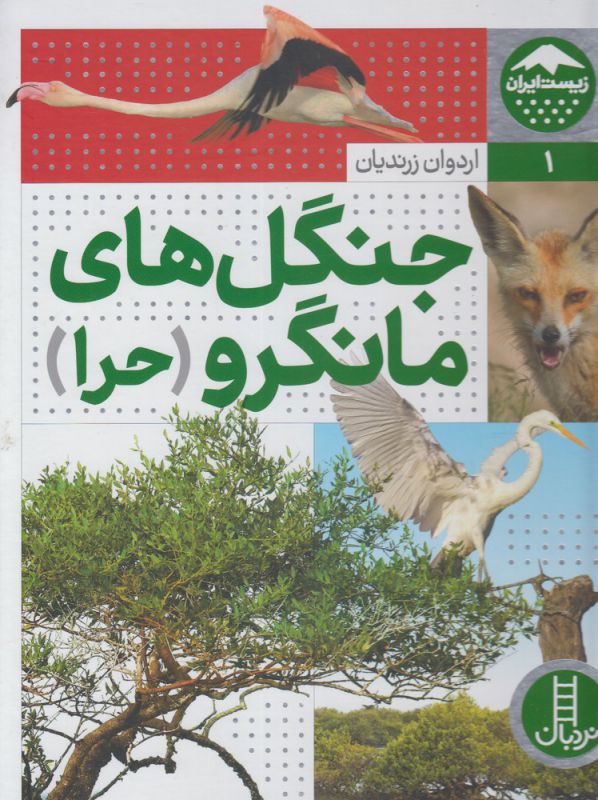 جنگل های مانگرو حرا زیست ایران 1