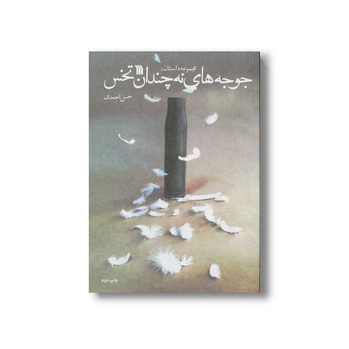 کتاب جوجه های نه چندان تخس اثر حسن احمدی نشر سروش