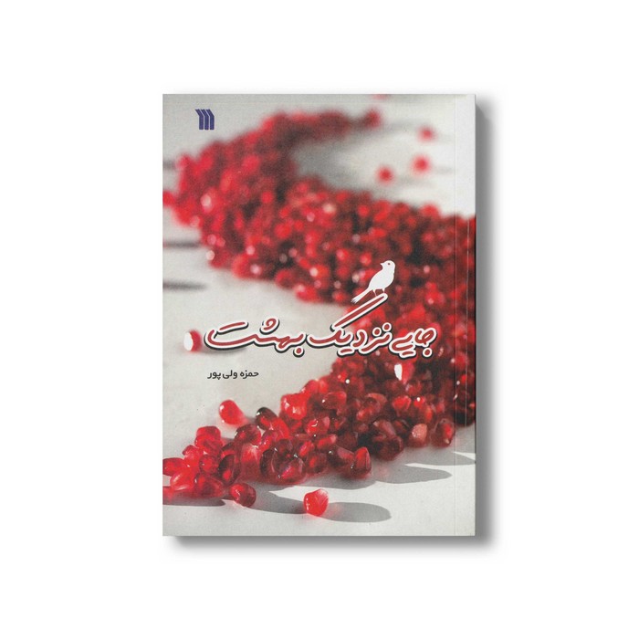 کتاب جایی نزدیک بهشت اثر حمزه ولی پور نشر سروش