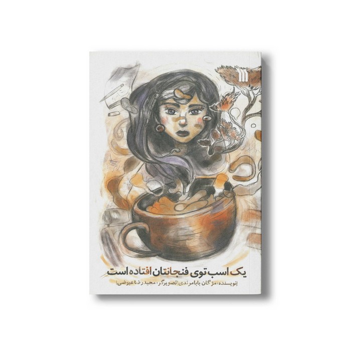 کتاب یک اسب توی فنجانتان افتاده است اثر مژگان بابامرندی نشر سروش