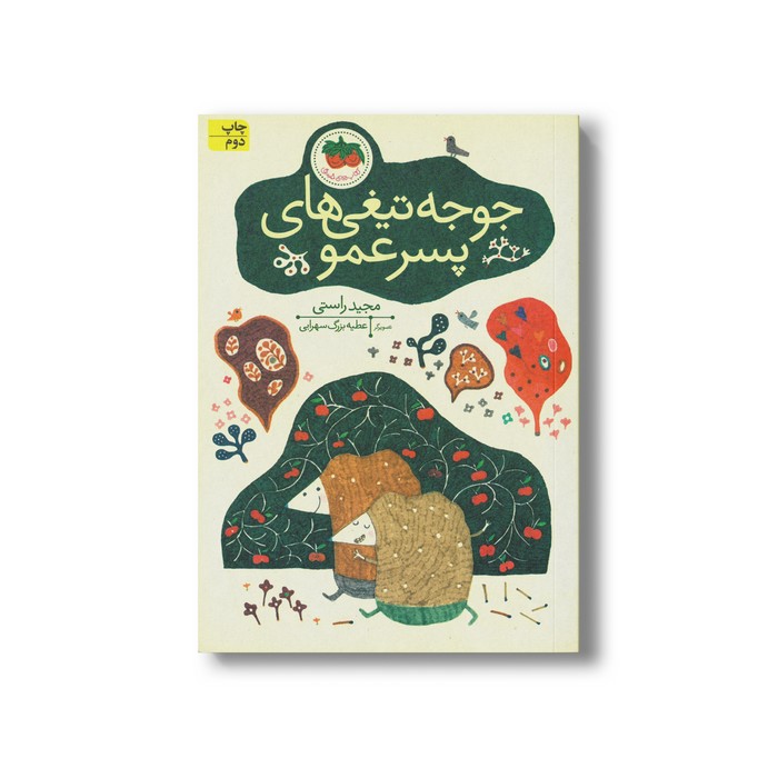 کتاب جوجه تیغی های پسر عمو اثر مجید راستی نشر افق