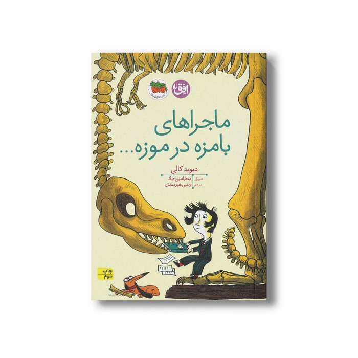 کتاب ماجراهای بامزه در موزه اثر دیوید کالی ترجمه رضی هیرمندی نشر افق