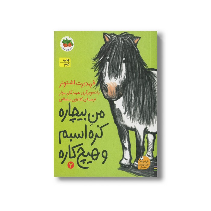کتاب من بیچاره کره اسبم و هیچ کاره 3 اثر فریدبرت اشتونر ترجمه کتایون سلطانی نشر افق
