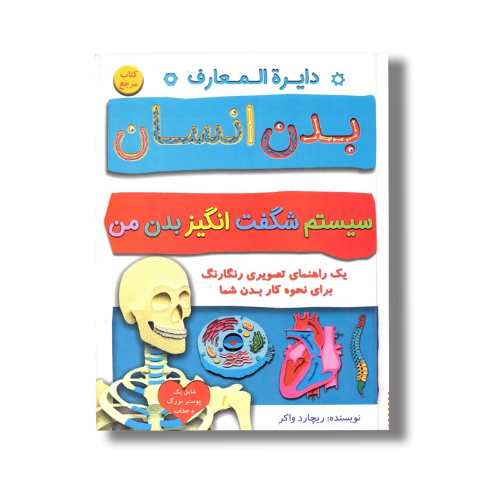 کتاب دایره المعارف بدن انسان: سیستم شگفت انگیز بدن من (یک راهنمای تصویری رنگارنگ برای نحوه کار بدن شما) اثر ریچارد واکر ترجمه افسانه مسعود رهبری نشر آوای دوستی