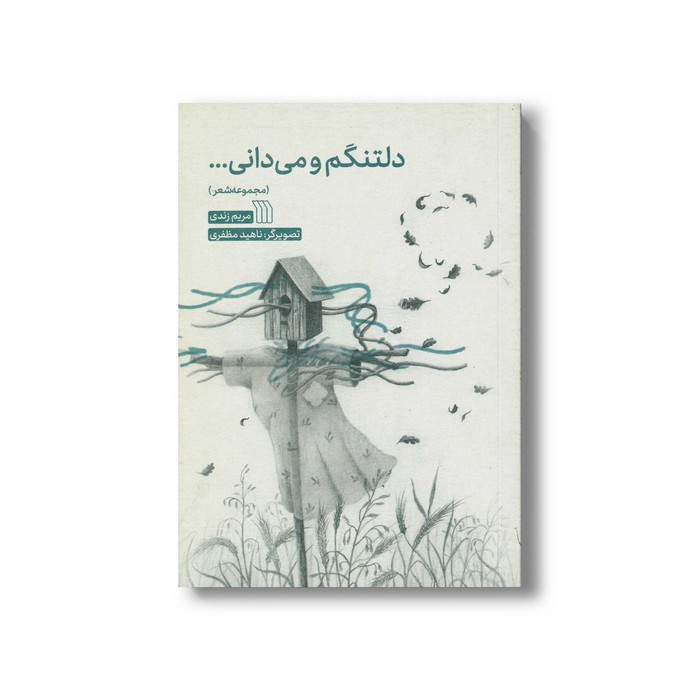 کتاب دلتنگم و می دانی اثر مریم زندی نشر سروش