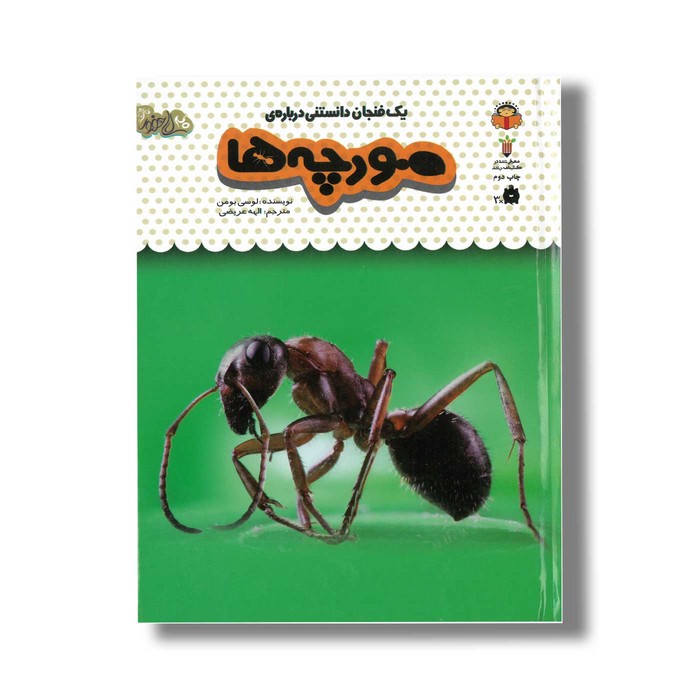 کتاب یک فنجان دانستنی درباره مورچه ها (جلد 22) اثر لوسی بومن ترجمه الهه عریضی نشر نوشته