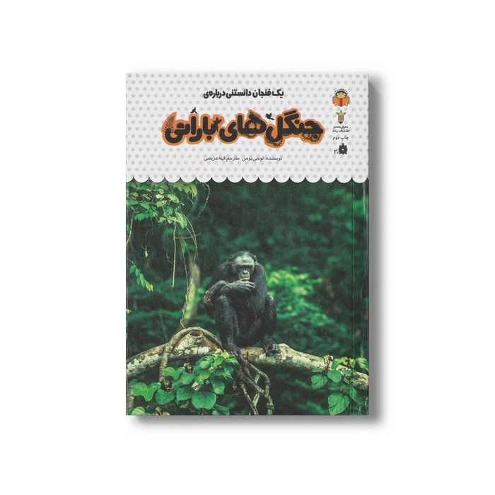 کتاب یک فنجان دانستنی درباره جنگل های بارانی (جلد 33) اثر لوسی بومن ترجمه الهه عریضی نشر نوشته