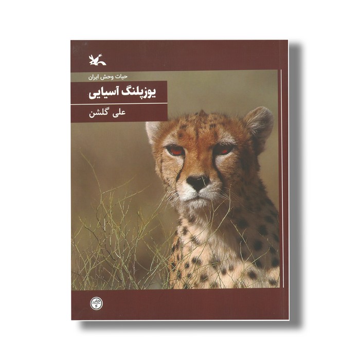 کتاب یوزپلنگ آسیایی (حیات وحش ایران) اثر علی گلشن نشر کانون پرورش فکری کودکان و نوجوانان