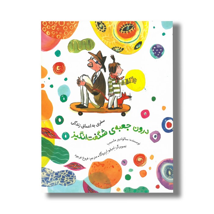 کتاب درون جعبه شگفت انگیز (سفری به اعماق زندگی) اثر سالوادور ماسیپ ترجمه فروغ فرجود نشر فاطمی