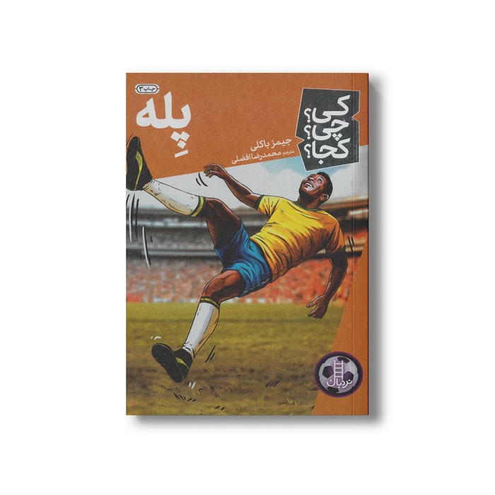 کتاب پله (کی چی کجا) اثر جیمز باکلی ترجمه محمدرضا افضلی نشر نردبان