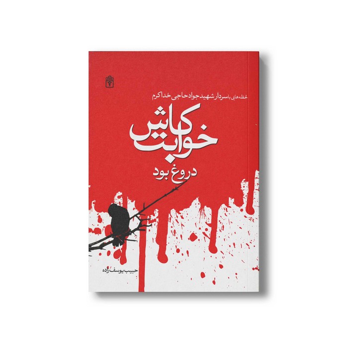 کتاب کاش خوابت دروغ بود اثر حبیب یوسف زاده نشر محراب قلم