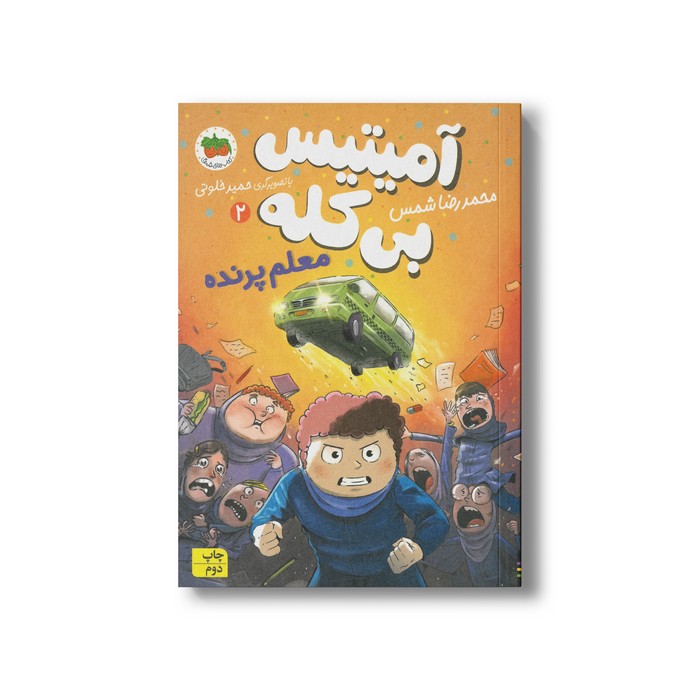 کتاب معلم پرنده (آمیتیس بی کله 2) اثر محمدرضا شمس نشر افق