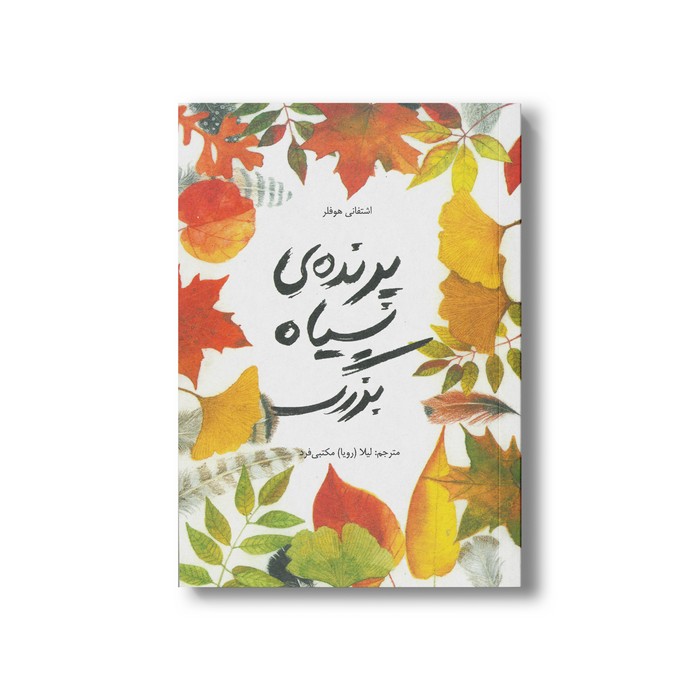 کتاب پرنده سیاه بزرگ اثر اشتفانی هوفلر ترجمه لیلا مکتبی فرد نشر فاطمی