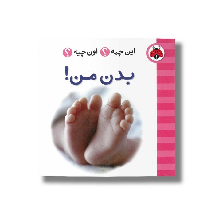 کتاب بدن من (این چیه اون چیه) نشر شهر قلم