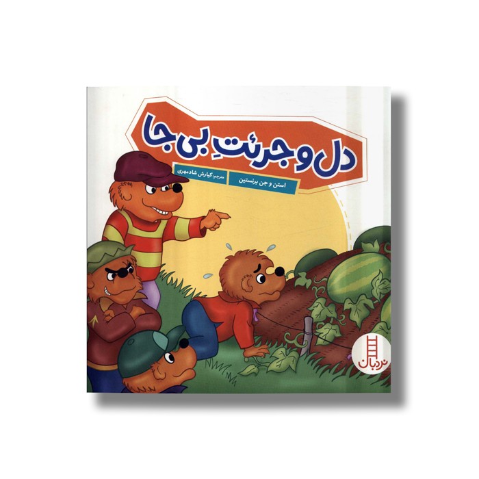کتاب دل و جرئت بی جا (خانواده خرسی) اثر استن و جن برنستین ترجمه کیارش شادمهری نشر نردبان