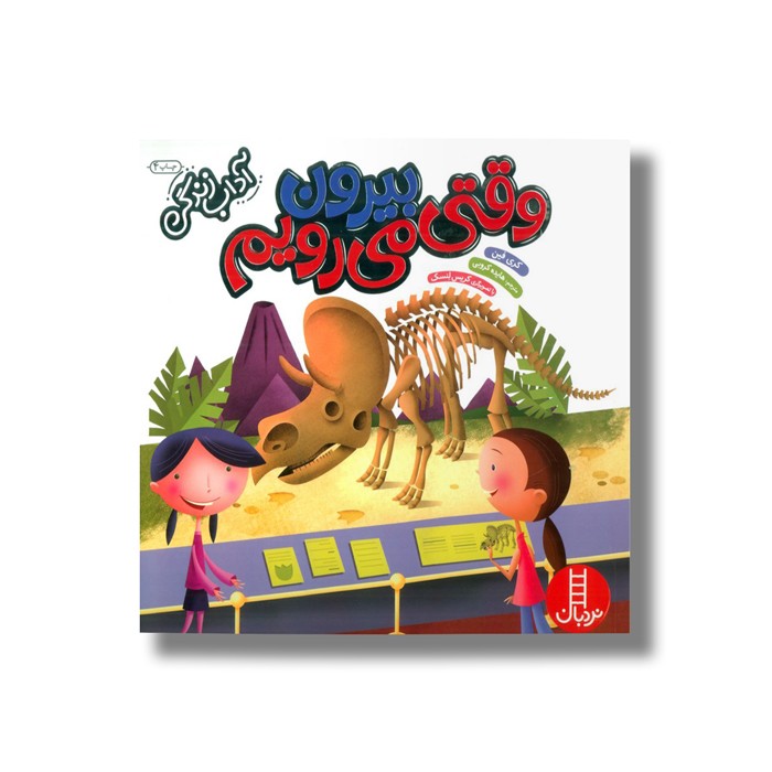 کتاب وقتی بیرون می رویم (آداب زندگی) اثر کری فین ترجمه هایده کروبی نشر نردبان