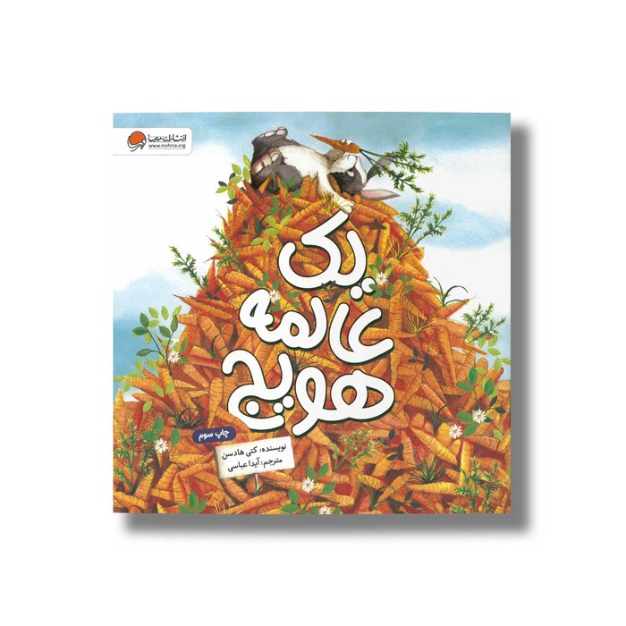 کتاب یک عالمه هویج اثر کتی هادسن ترجمه آیدا عباسی نشر مهرسا