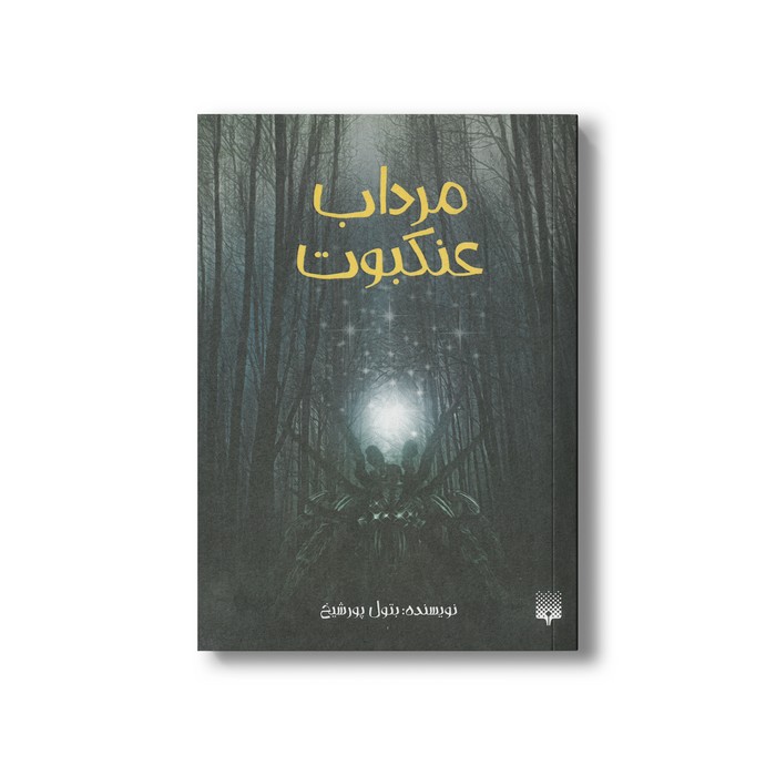 کتاب مرداب عنکبوت اثر بتول پورشیخ نشر پیدایش