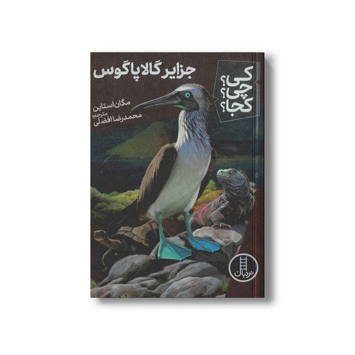 کتاب جزایر گالاپاگوس (کی چی کجا) اثر مگان استاین ترجمه محمدرضا افضلی نشر نردبان