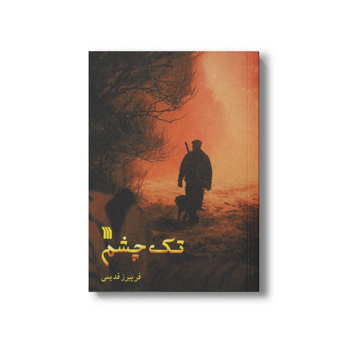 کتاب تک چشم اثر فریبرز قدیمی نشر سروش