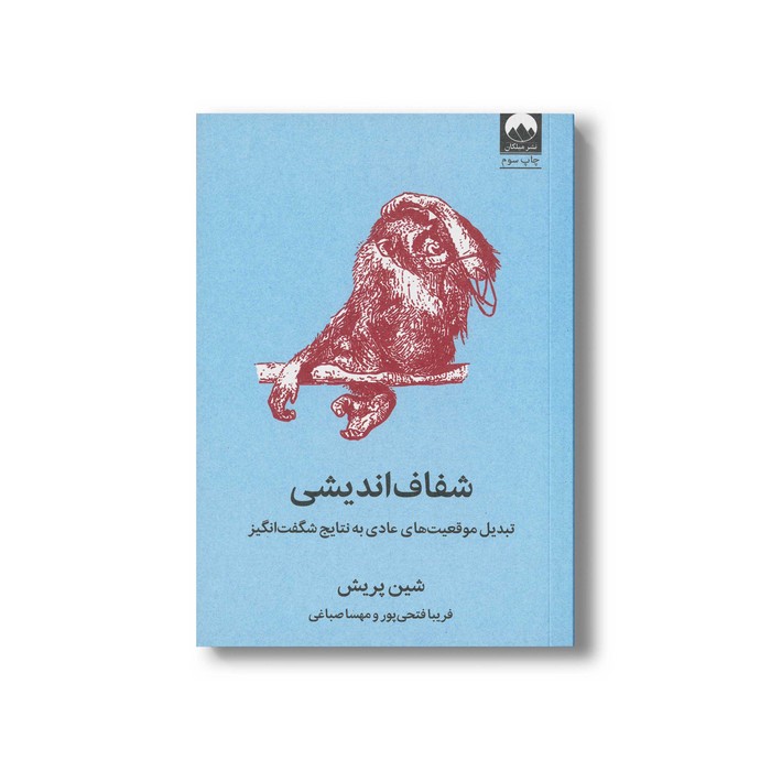 کتاب شفاف اندیشی اثر شین پریش ترجمه فریبا فتحی پور و مهسا صباغی نشر میلکان