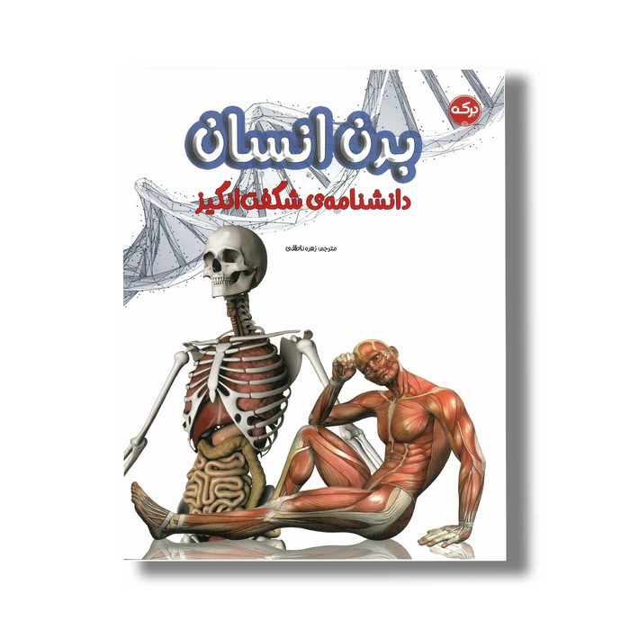 کتاب دانشنامه شگفت انگیز بدن انسان اثر گروه علم برای کودکان ترجمه زهره ناطقی نشر برکه
