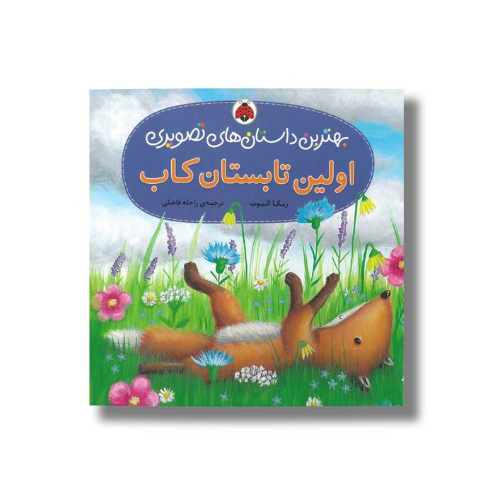 کتاب اولین تابستان کاب (بهترین داستان های تصویری) اثر ربکا الیوت ترجمه راحله فاضلی نشر شهر قلم