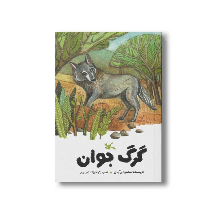 کتاب گرگ جوان اثر محمود برآبادی نشر کانون پرورش فکری کودکان و نوجوانان