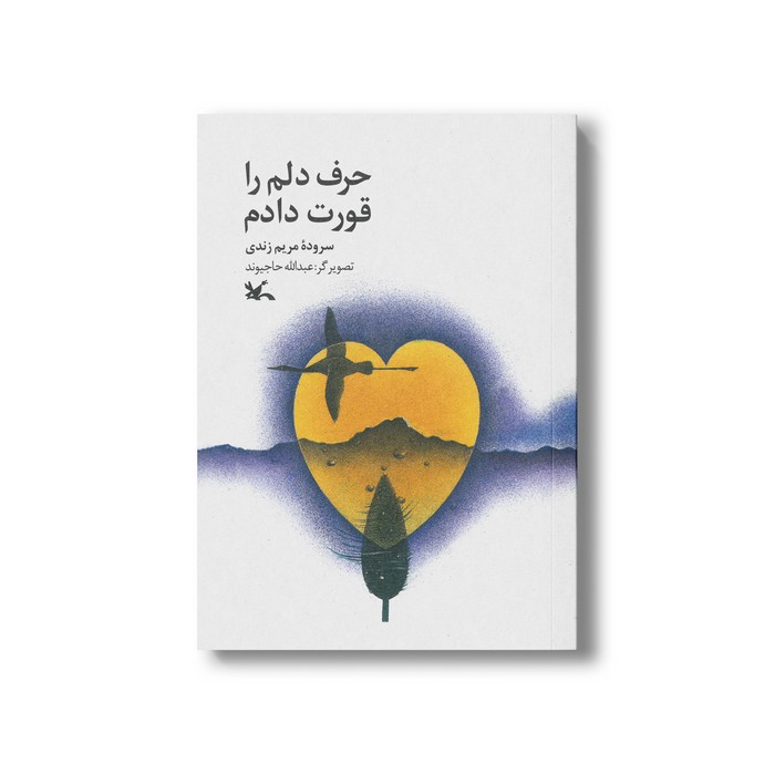 کتاب حرف دلم را قورت دادم اثر مریم زندی نشر کانون پرورش فکری کودکان و نوجوانان