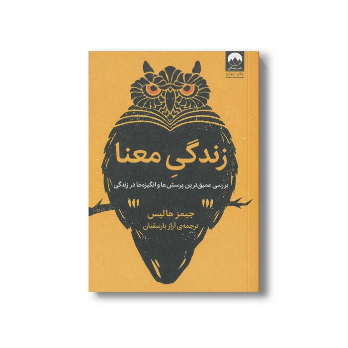 کتاب زندگی معنا اثر جیمز هالیس ترجمه آراز بارسقیان نشر میلکان