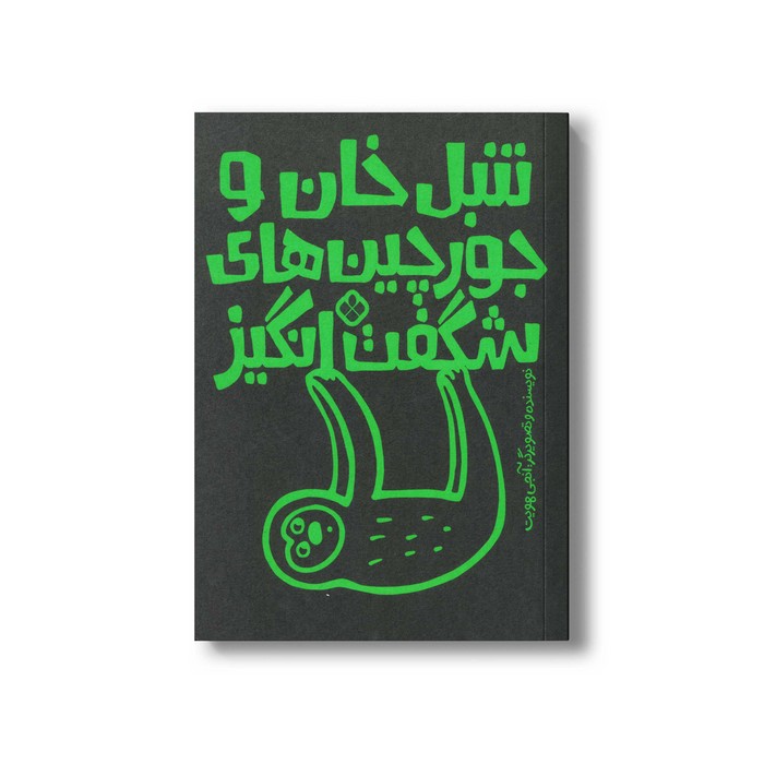 کتاب تنبل خان و جورچین های شگفت انگیز اثر آنجی هویت ترجمه کیمیا مقدم نشر پنجره