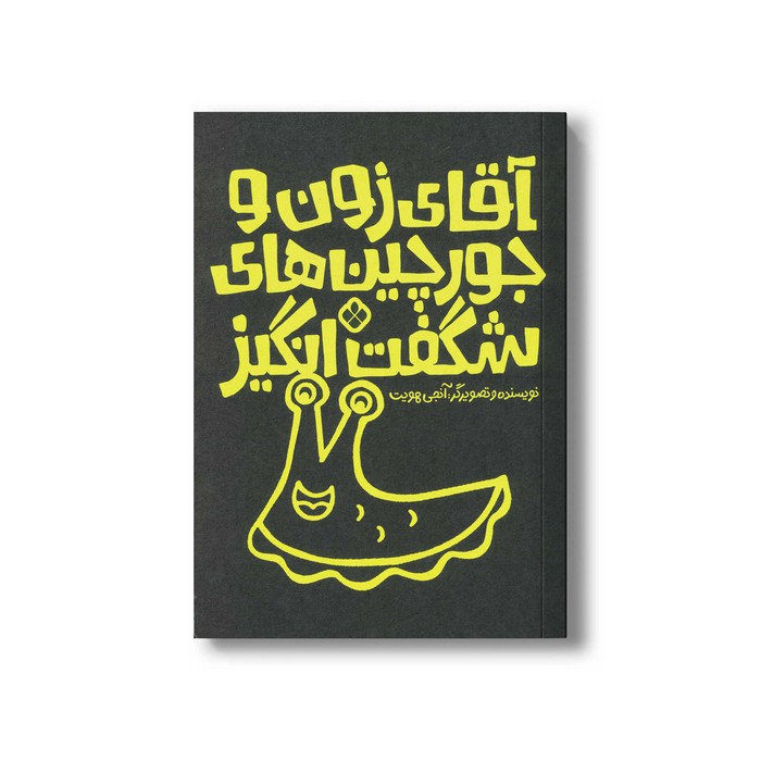 کتاب آقای زون و جورچین های شگفت انگیز اثر آنجی هویت ترجمه کیمیا مقدم نشر پنجره