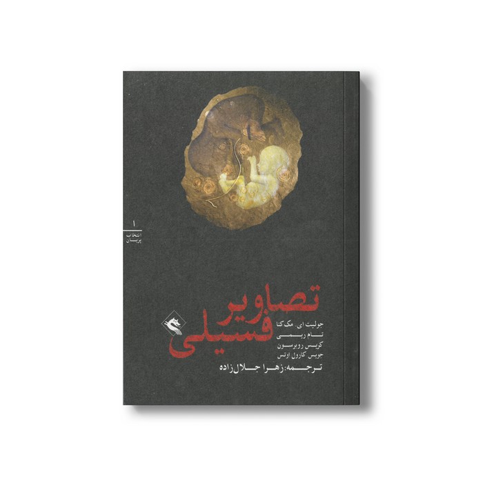 کتاب تصاویر فسیلی (انتخاب پریان 1) اثر گروه نویسندگان ترجمه زهرا جلال زاده نشر پریان