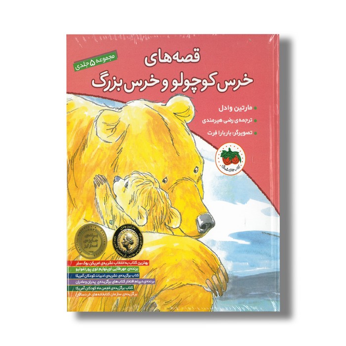 کتاب قصه های خرس کوچولو و خرس بزرگ (مجموعه 5 جلدی) اثر مارتین وادل ترجمه رضی هیرمندی نشر افق