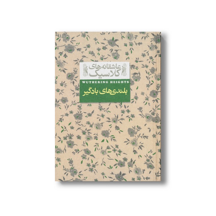 کتاب بلندی های بادگیر (عاشقانه های کلاسیک) اثر امیلی برونته ترجمه نوشین ابراهیمی نشر افق