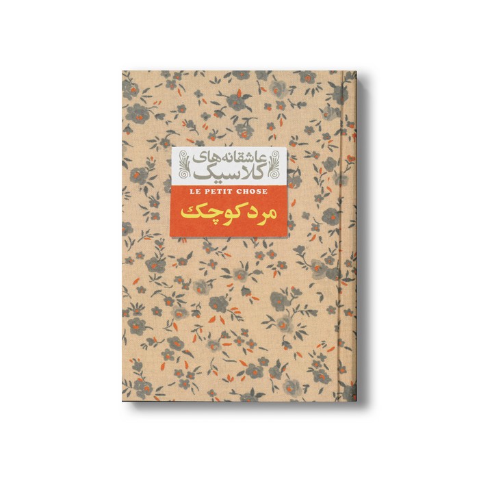 کتاب مرد کوچک (عاشقانه کلاسیک) اثر آلفونس دوده ترجمه محمود گودرزی نشر افق