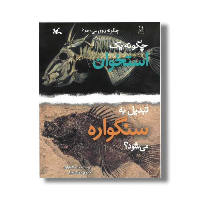 کتاب چگونه یک استخوان تبدیل به سنگواره می شود (چگونه روی می دهد) اثر ملیسا استوارت ترجمه مجید عمیق نشر کانون پرورش فکری کودکان و نوجوانان