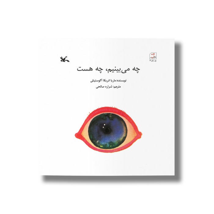 کتاب چه می بینیم چه هست اثر ماریا انریکا آگوستینلی ترجمه شراره صالحی نشر کانون پرورش فکری کودکان و نوجوانان