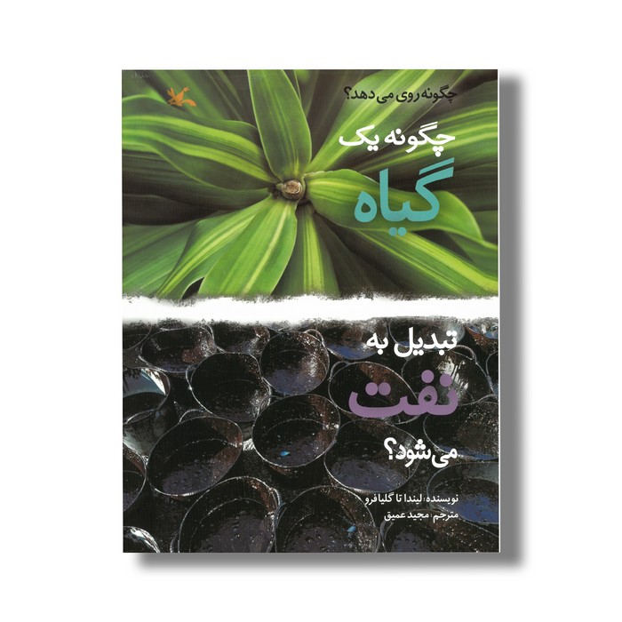 کتاب چگونه یک گیاه تبدیل به نفت می شود (چگونه روی می دهد) اثر لیندا تاگلیافرو ترجمه مجید عمیق نشر کانون پرورش فکری کودکان و نوجوانان