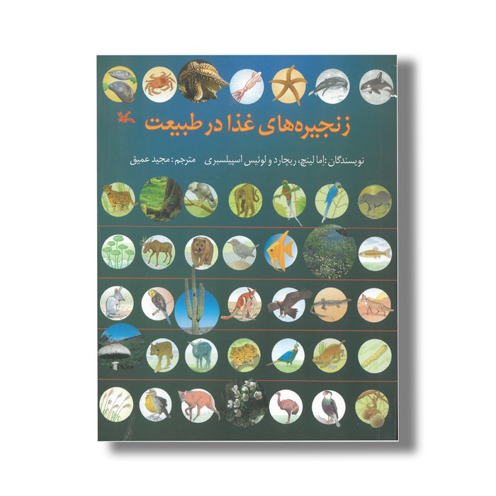 کتاب زنجیره های غذا در طبیعت اثر اما لینچ و ریچارد و لوئیس اسپیلسبری ترجمه مجید عمیق نشر کانون پرورش فکری کودکان و نوجوانان