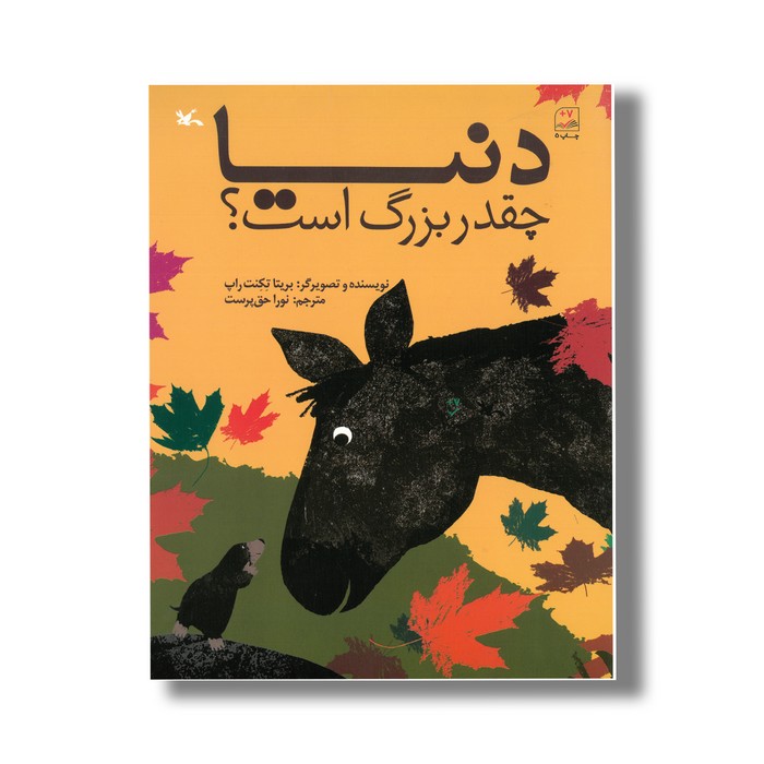 کتاب دنیا چقدر بزرگ است اثر ریتا تکنت راپ ترجمه نورا حق پرست نشر کانون پرورش فکری کودکان و نوجوانان