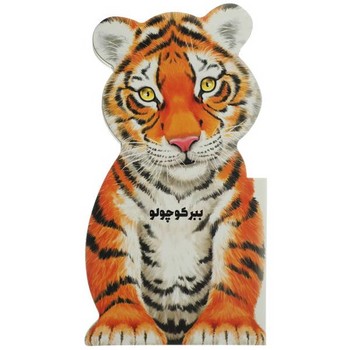 کتاب ببر کوچولو اثر جیووانی کاویزل ترجمه مهری کاظمی نشر گاج