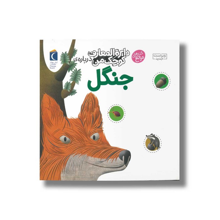 کتاب دایره المعارف کوچک من درباره جنگل اثر آگنس واندویل ترجمه رویا خوئی نشر محراب قلم