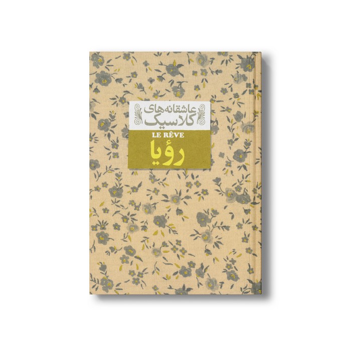 کتاب رویا (عاشقانه های کلاسیک) اثر امیل زولا ترجمه محمود گودرزی نشر افق