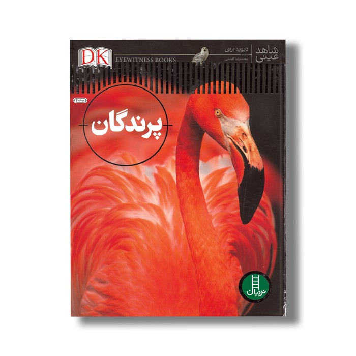 کتاب پرندگان (شاهد عینی) اثر دیوید برنی ترجمه محمدرضا افضلی نشر نردبان