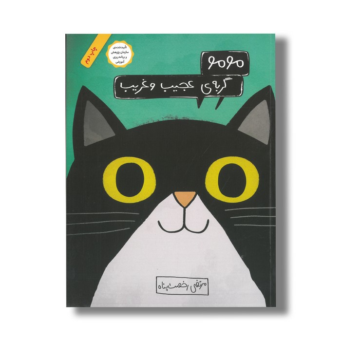 کتاب مومو گربه عجیب و غریب اثر مرتضی رخصت پناه نشر فاطمی
