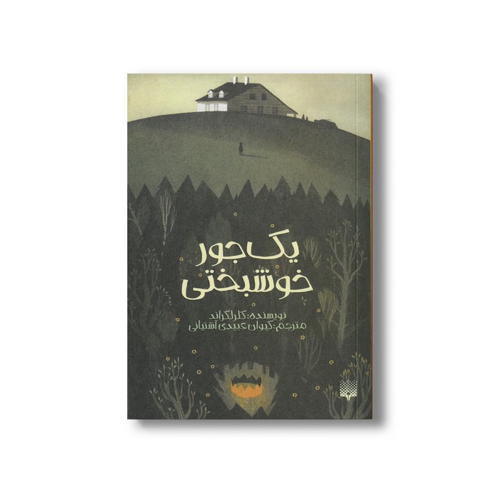 کتاب یک جور خوشبحتی اثر کلر لگراند ترجمه کیوان عبیدی آشتیانی نشر پیدایش