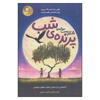 کتاب طلسم دویست ساله پرنده شب اثر آلیس هافمن ترجمه فرمهر منجزی نشر ایران بان