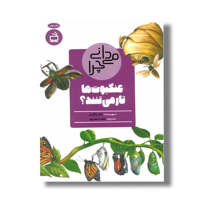 کتاب می دانی چرا عنکبوت ها تار می تنند اثر آماندا انیل ترجمه مجید عمیق نشر مدسه