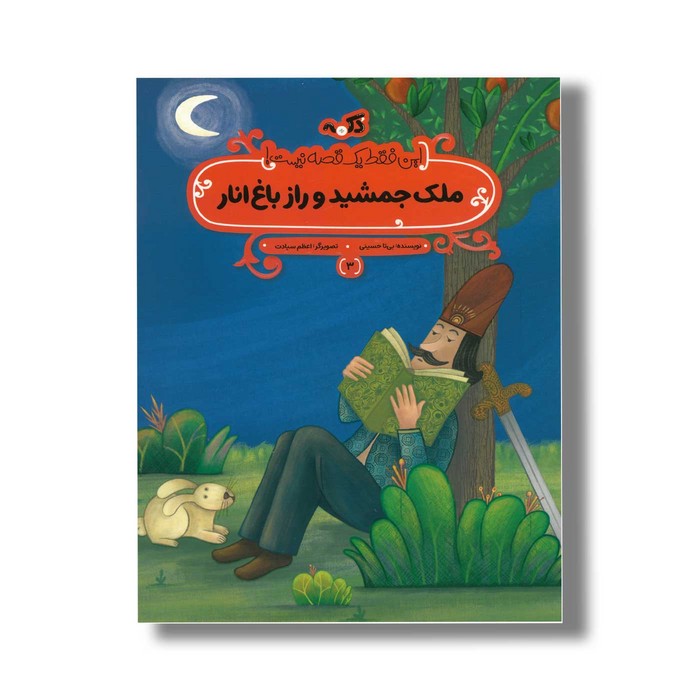 کتاب ملک جمشید و راز باغ انار (این فقط یک قصه نیست 3) اثر بیتا حسینی نشر پی نما